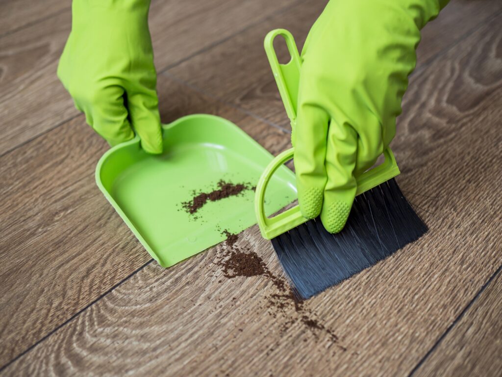 How to Get Rid of Carpet Beetles